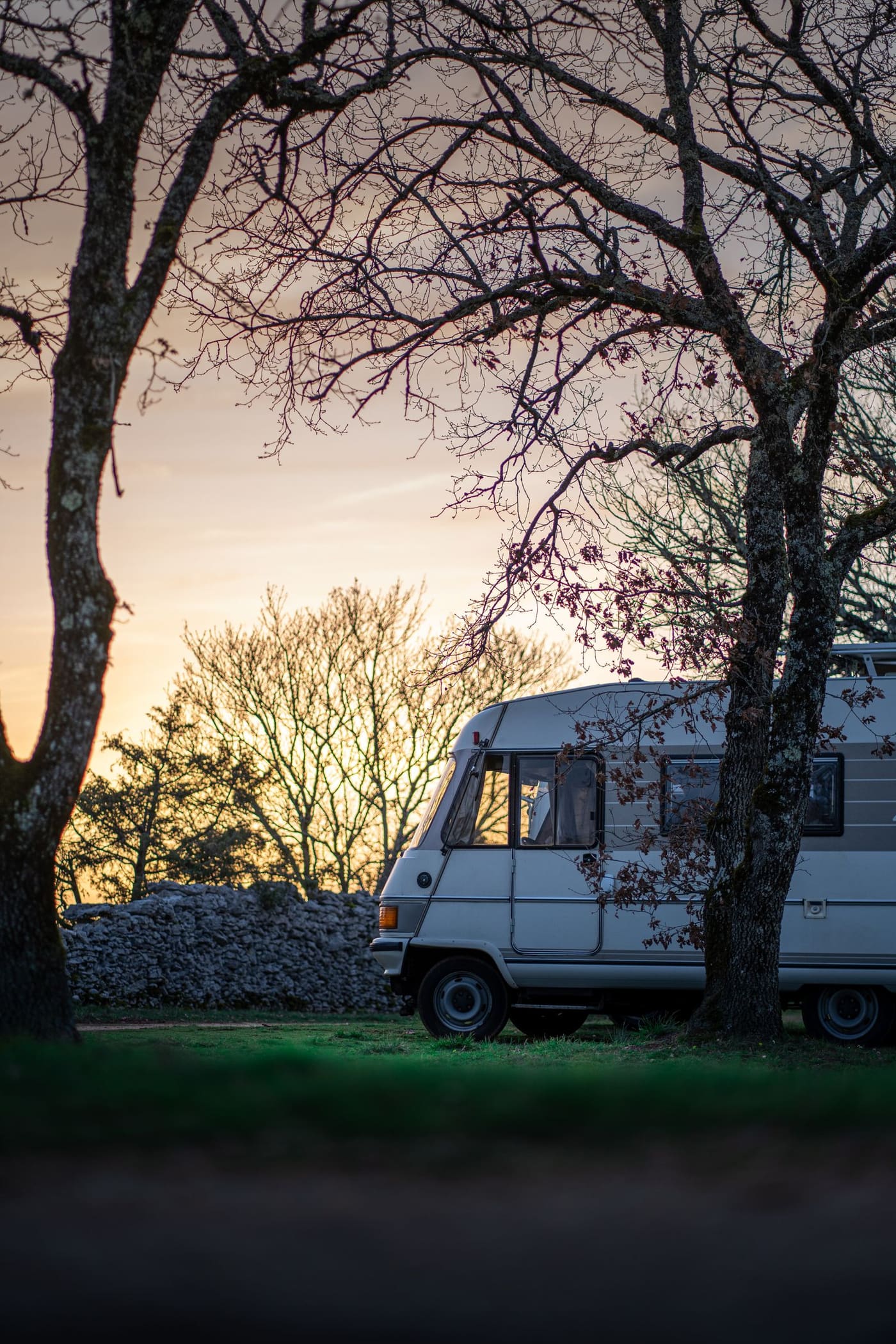 Wohnmobil am Waldrand im Abendlicht